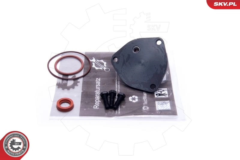 Repair Set, vacuum pump (braking system)